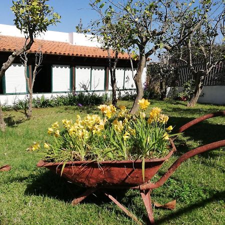 Casa Rural Limon Y Sol 绍萨尔 外观 照片