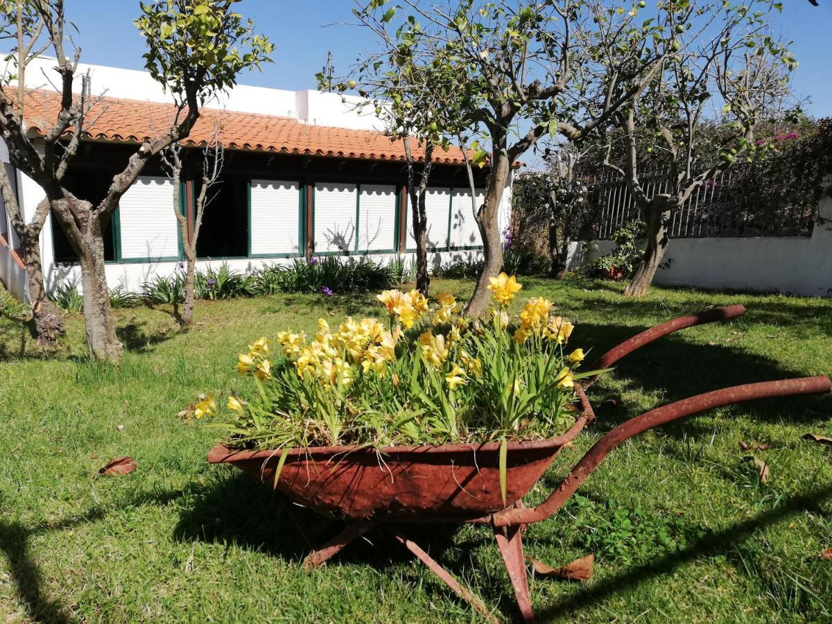 Casa Rural Limon Y Sol 绍萨尔 外观 照片