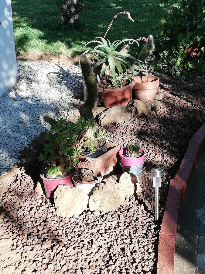 Casa Rural Limon Y Sol 绍萨尔 外观 照片