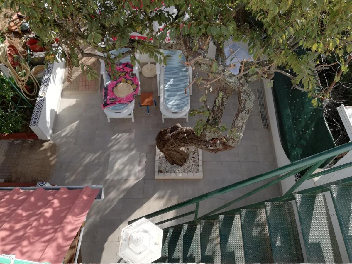 Casa Rural Limon Y Sol 绍萨尔 外观 照片