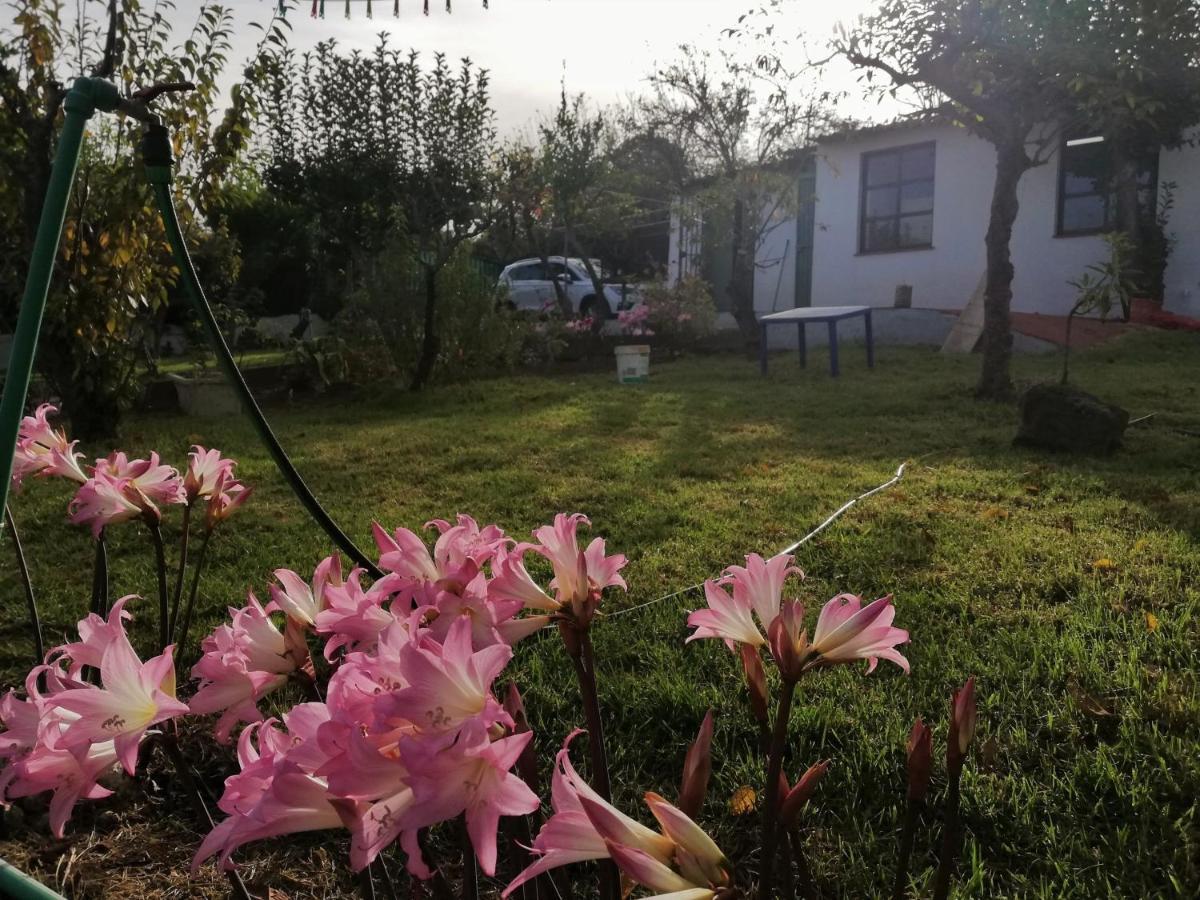 Casa Rural Limon Y Sol 绍萨尔 外观 照片