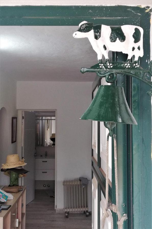 Casa Rural Limon Y Sol 绍萨尔 外观 照片