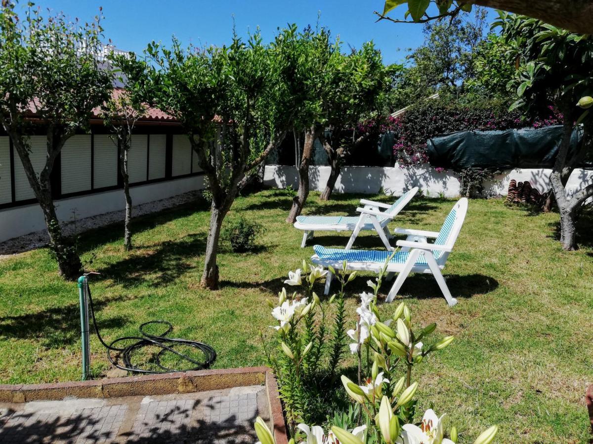 Casa Rural Limon Y Sol 绍萨尔 外观 照片