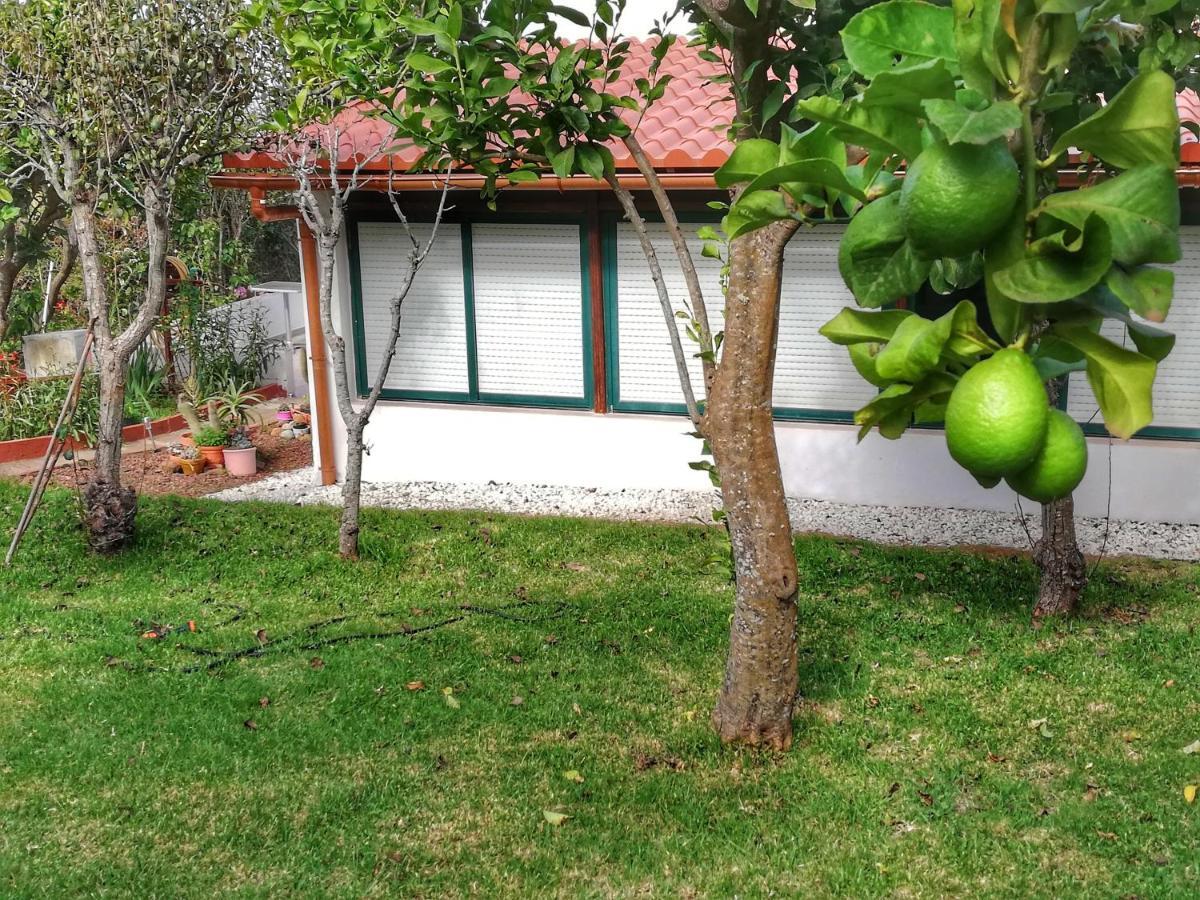 Casa Rural Limon Y Sol 绍萨尔 外观 照片